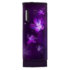 Whirlpool 192 L 5 Star Inverter Direct Cool Single Door Refrigerator Purple Blossom-Y (215IMPCROY5SINVPUBLY)