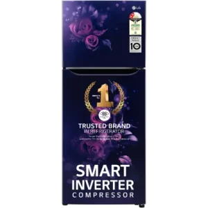 LG 242 L 2 Star Direct-Cool Inverter Single Door Refrigerator (GL-GLN292BBCY)